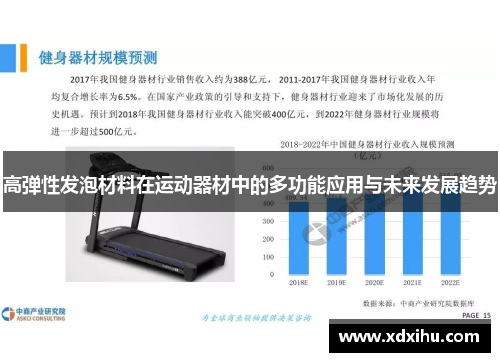 高弹性发泡材料在运动器材中的多功能应用与未来发展趋势